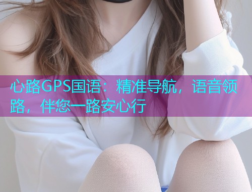 心路GPS国语:精准导航,语音领路,伴您一路安心行 心路GPS国语:精准导航,语音领路,伴您一路安心行